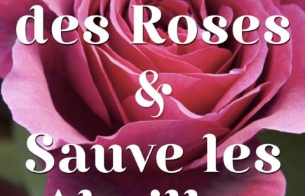 Le RC Châtillon Vonnas est heureux de participer à l'action "Plante des roses &amp; sauve les Abeilles"